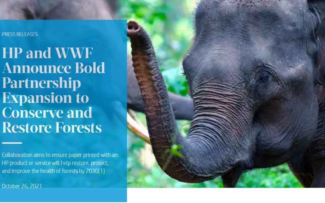 HP and WWF Announce Bold Partnership Expansion to Conserve and Restore Forests